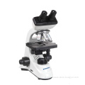 BIOBASE XS-208 Series Laboratory Biological Microscope Optical Microscope Price
